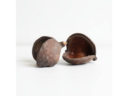 Sušený Badam - přírodní detail