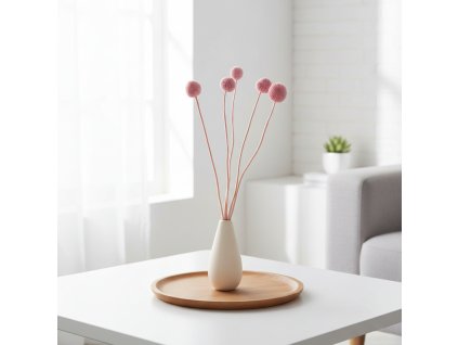 Craspedia - flider ve váze