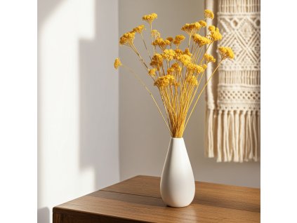 Sušená Achillea - žlutá ve váze na dřevěném stole