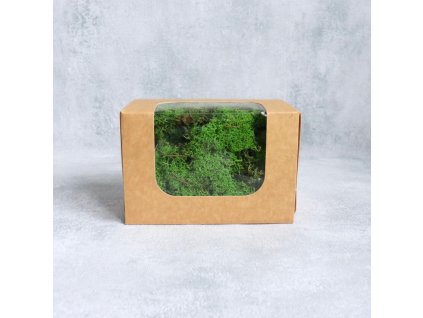 Stabilizovaný Moss reindeer - trávově zelená balení 100g