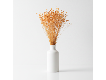 Sušený Len - meruňková