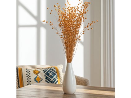 Sušený Len - meruňková ve váze