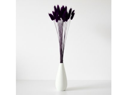 Lagurus sušený - tm.fialová ve váze