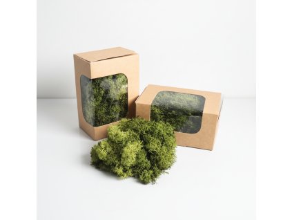 Stabilizovaný mech Moss reindeer- tm. zelený