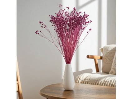 Sušený Len - fialová ve váze