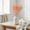 Sušený Broom Bloom růžová ve váze v interiéru