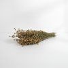 Sušený Len - natur svazek 100g