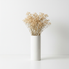 Stabilizovaná Gypsophila - bílá