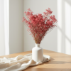 Sušený Broom Bloom rosa/natur ve váze v interiéru