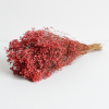 Sušený Broom Bloom rosa natur 50g