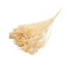 Sušený Broom Bloom bělený 50 g
