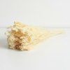 Sušený Broom Bloom bělený svazek 50g
