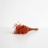Sušená Glixia terracotta svazek 25g