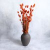Phalaris sušený oranžová ve váze