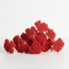 Sušina Achillea rosa natur