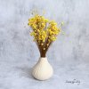 Sušená Glixia žlutá ve váze
