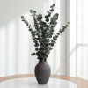 Eukalyptus cinerea stabilizovaný - zelený ve váze