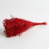 Sušený Broom Bloom červená svazek 50g