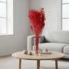 Sušený Broom Bloom - červená ve váze