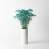 Stabilizovaná Gypsophila - modrá