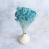 Sušený Broom Bloom modrá ve váze
