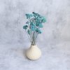 Sušená Achillea aquamarine ve váze