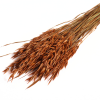 Sušená Avena terracotta