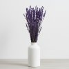 Stabilizovaná Levandule - lilla ve váze