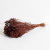 Sušený Broom Bloom hnědý 50 g