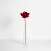 Dřevěná borovicová růže - červená ve váze