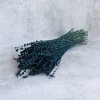 Stabilizovaná Levandule - matná modrá svauek 100g