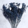 Sušený Broom Bloom tm. modrá detail