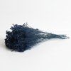 Sušený Broom Bloom tm. modrá svazek 50g