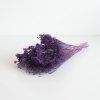 Sušený Broom Bloom viola svazek 50g