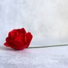 Dřevěná dekorační růže červená 7 cm kus