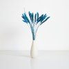 Setaria sušená - azzurro ve váze