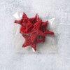 Proutěná hvězda 5cm červená detail balení
