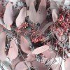 Eukalyptus Populus Berrie - červená detail listů