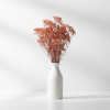Stabilizovaná Gypsophila - hnědá
