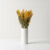 Sušená Mimosa ve váze