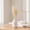Sušená tráva Silvergrass (Miscanthus) bělená ve váze v interiéru