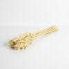 Sušená Avena - bílá svazek 25ks