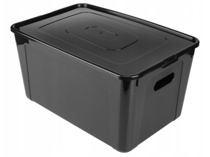 Box úložný MULTIBOX KOLOR průhmaty 39x26x20,5cm 17L, mix barev