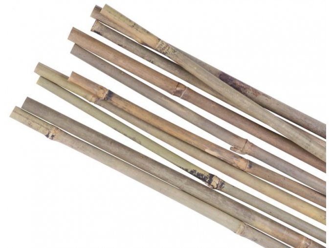 Tyč opěra k rostlinám bambus ¤12-14mm/180cm bal.10ks