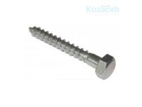 Vrut 5x 40mm Zn 6hran  100ks (bal.200ks)