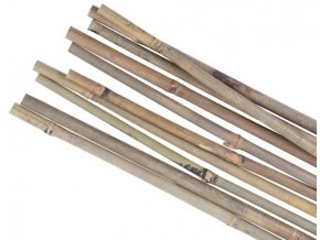 Tyč opěra k rostlinám bambus ¤14-16mm/180cm