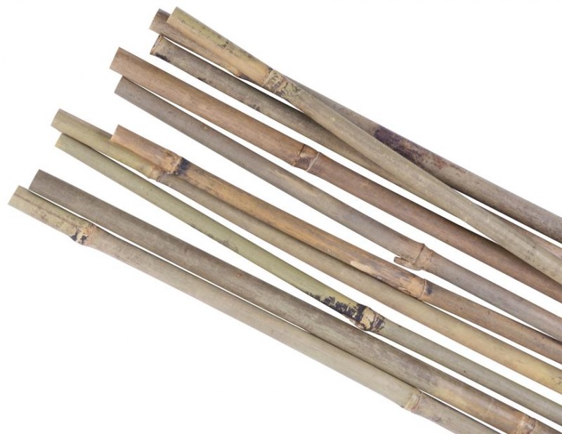 Tyč opěra k rostlinám bambus ¤14-16mm/180cm bal.10ks KUTIL Sklad7 432291.00