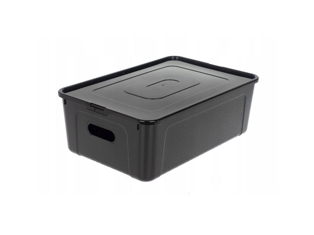 Box úložný MULTIBOX KOLOR průhmaty 39x26x13cm 11L, mix barev KUTIL Sklad7 417020.00