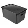 Box úložný MULTIBOX KOLOR průhmaty 39x26x20,5cm 17L, mix barev