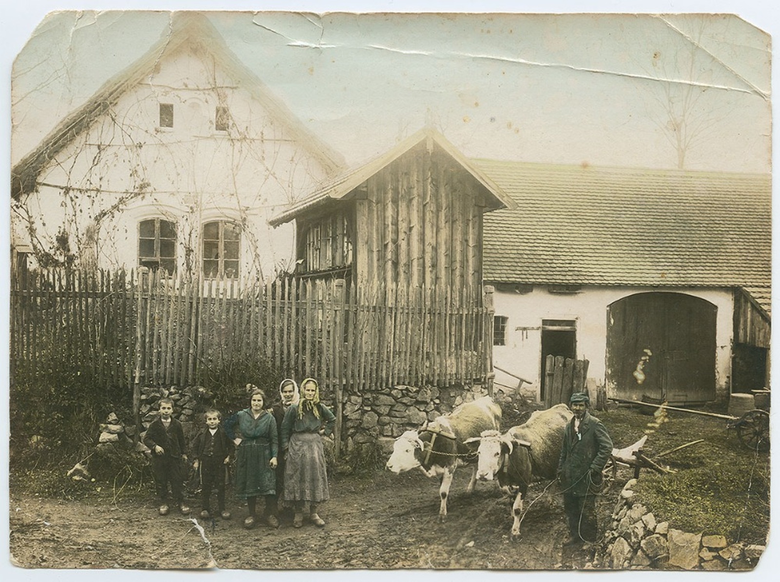 Historie včelaření rodiny Kozákových